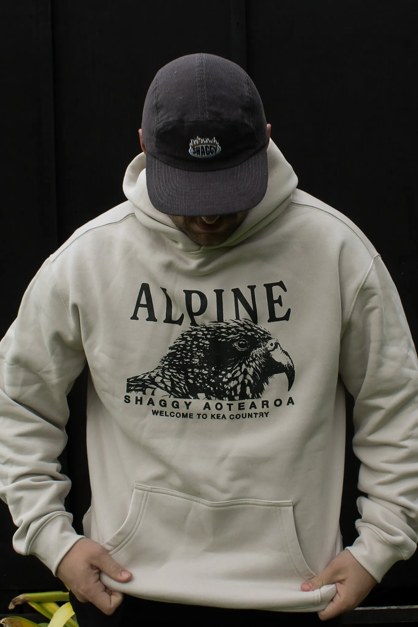 ALPINE HOOD