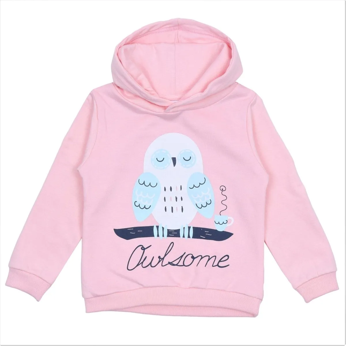 Hooded Sweatshirt Combo of 3-Owlsome-Little Monster-Rockstar Dino