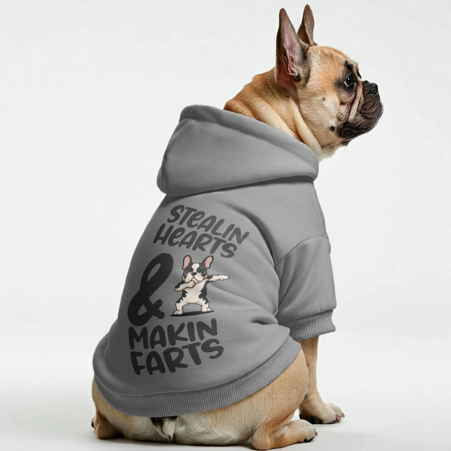 Makin Farts - Personalized French Bulldog Hoodies with Funny Quotes – Stylish, Cozy, and Premium 100% Cotton